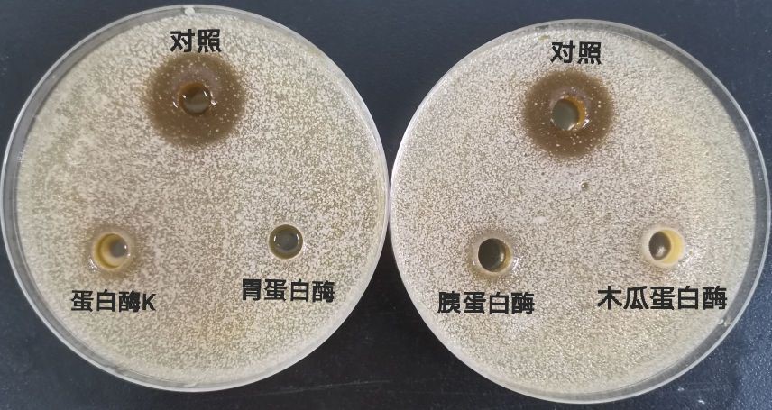 张玉4.jpg