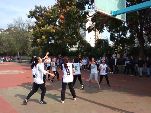 QQ图片20181105091457.jpg