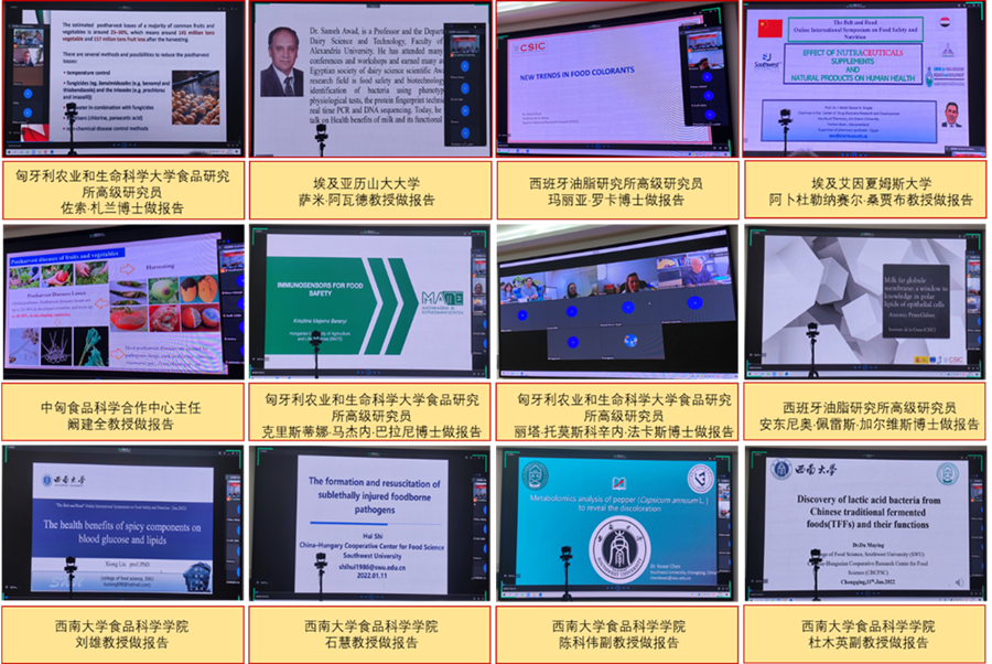 会议报告_副本.png